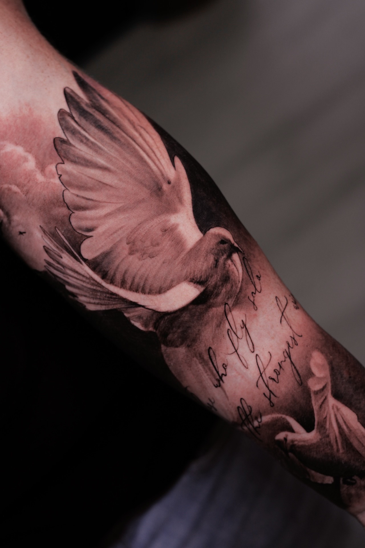 Realistic Chest Dove Tattoo by Elvin Tattoo